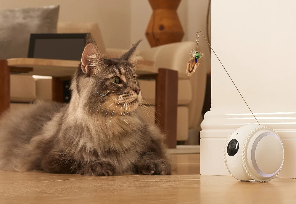 best pet security camera