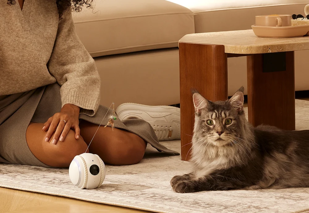 wireless pet monitoring camera