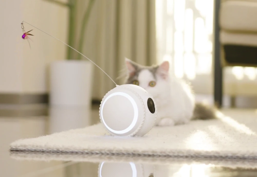 interactive pet camera for cats