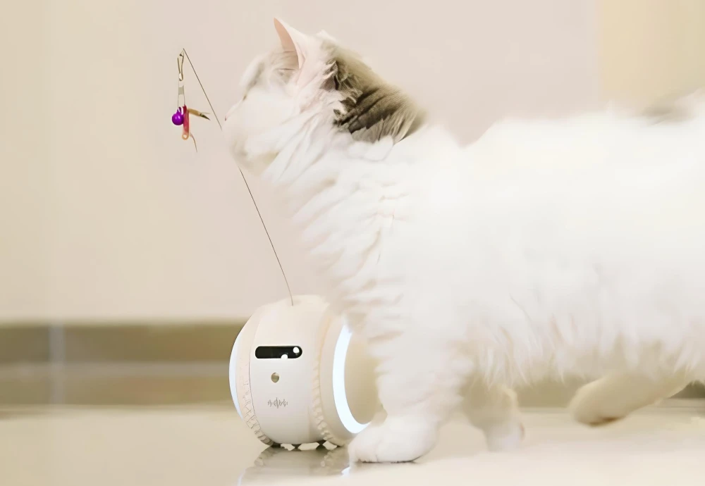 movable pet camera