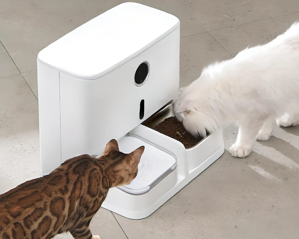 automatic cat feeder pets at home