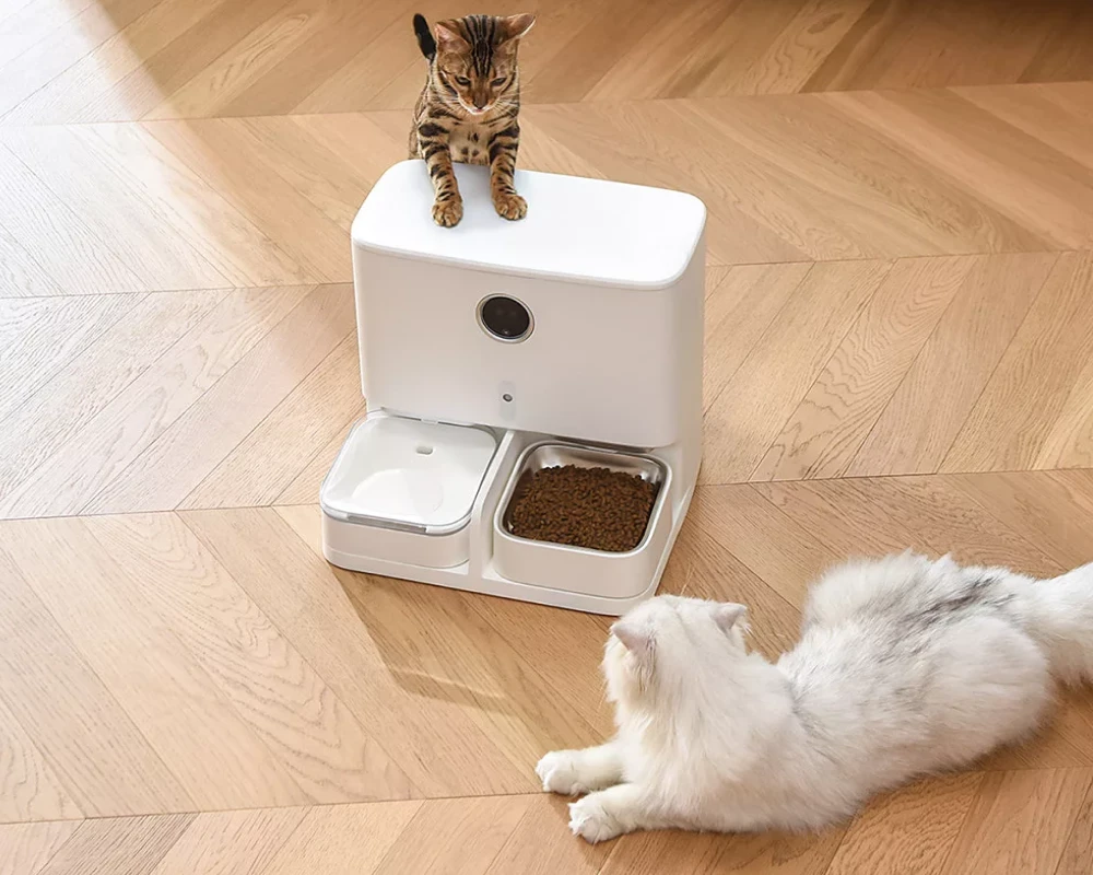 automatic pet feeder bowl