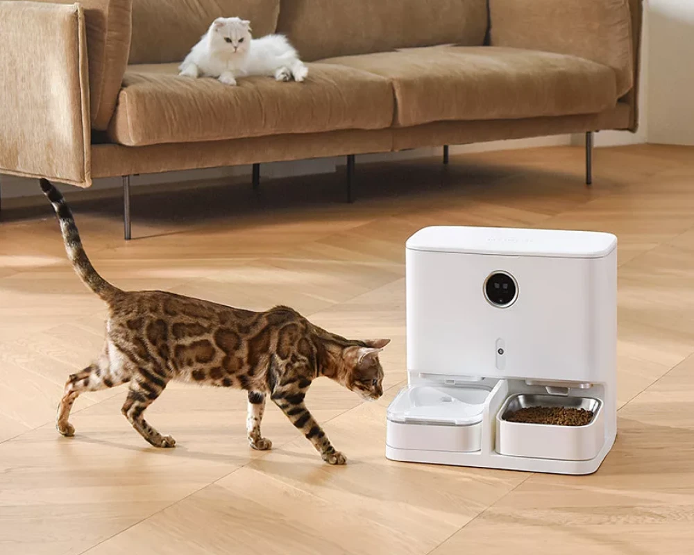 automatic pet feeder bowl